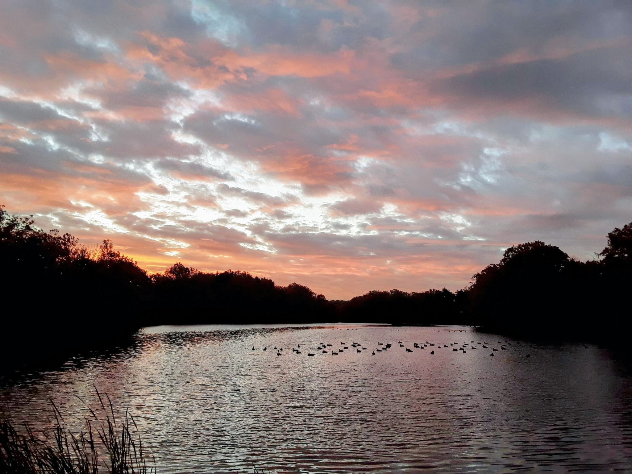 Shaker Lakes parklands background